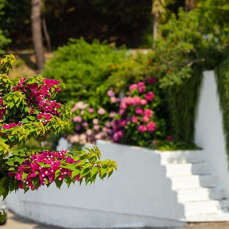 קוקארי Marina Apartments מראה חיצוני תמונה