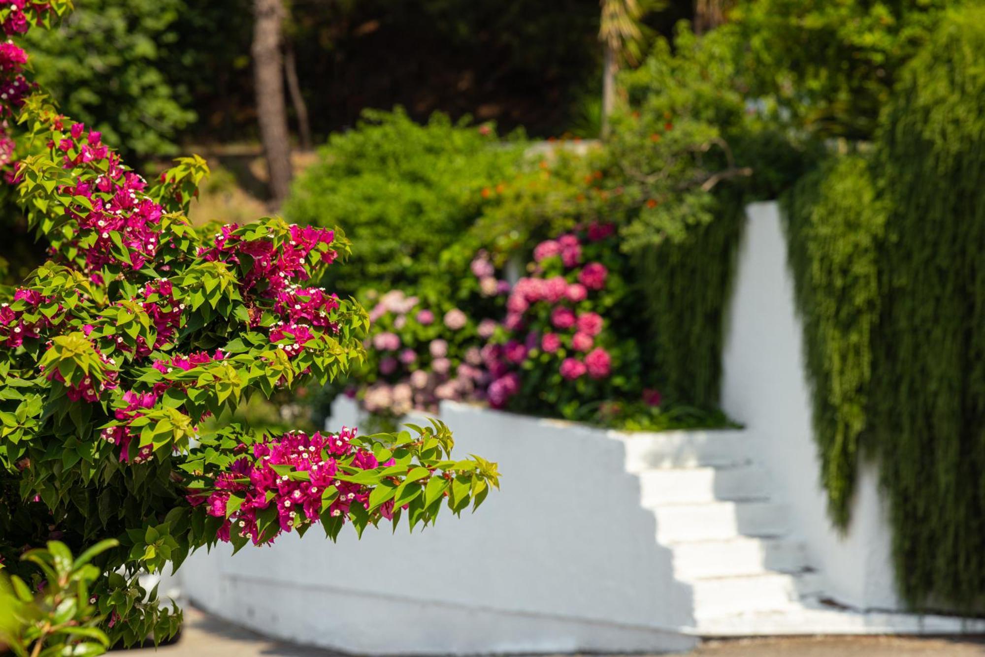 קוקארי Marina Apartments מראה חיצוני תמונה