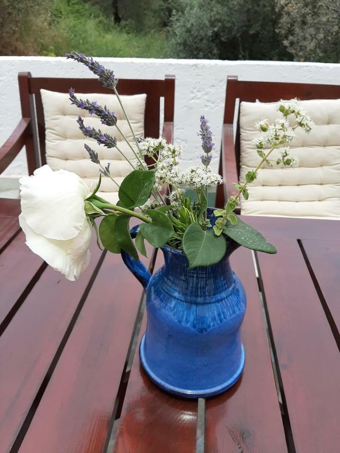 קוקארי Marina Apartments מראה חיצוני תמונה